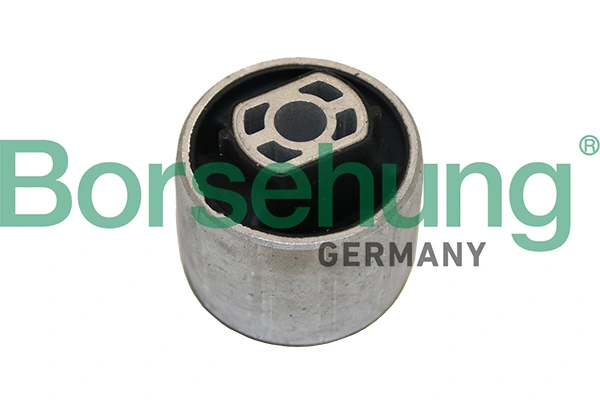 Mounting, control/trailing arm