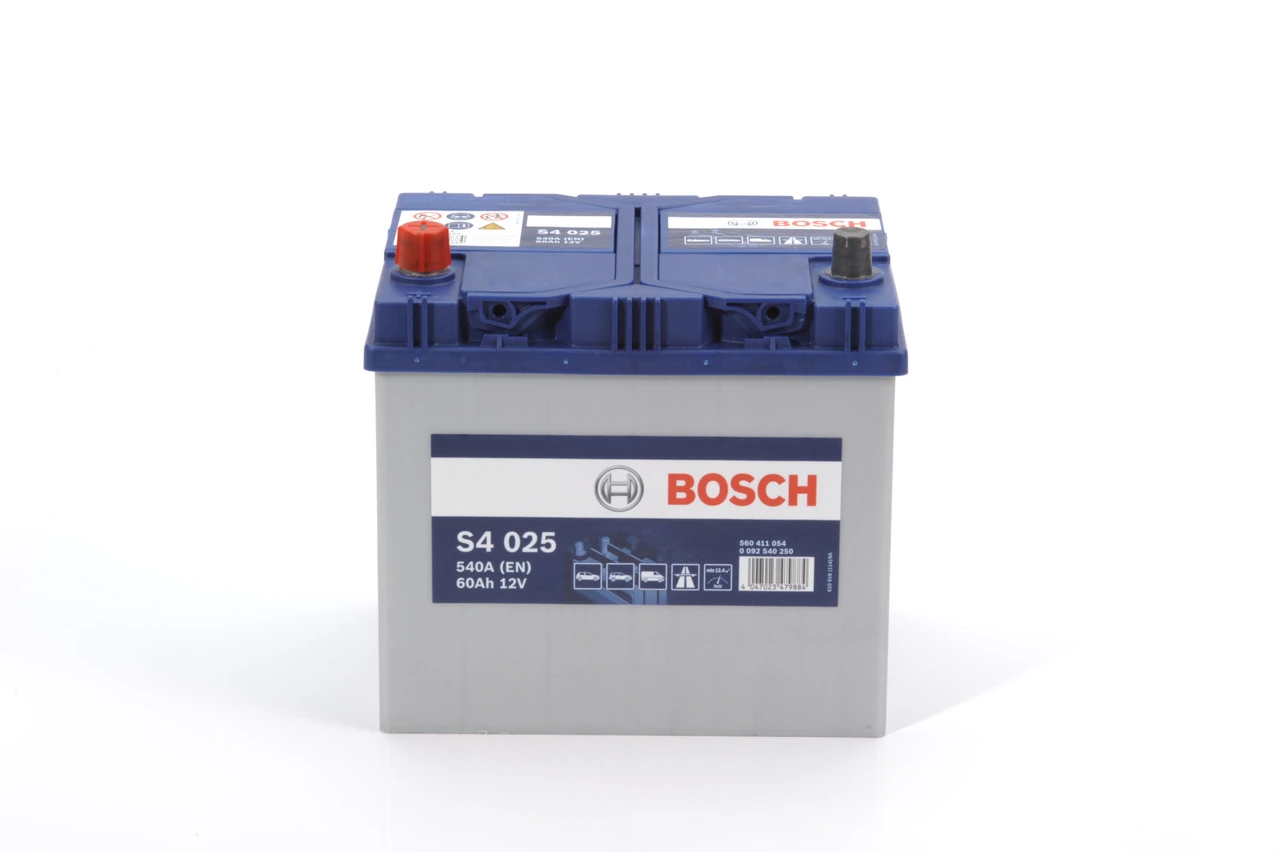 Starter Battery