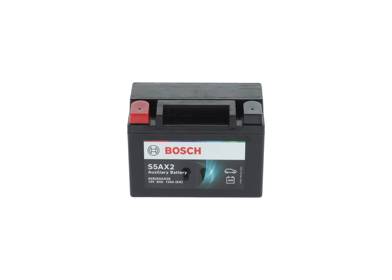 Starter Battery