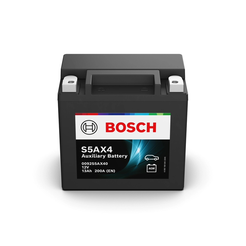 Starter Battery