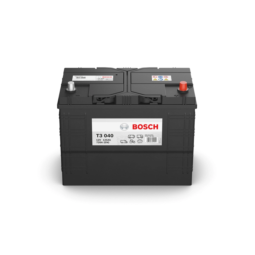 Starter Battery