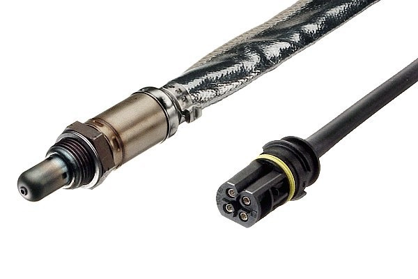 Oxygen Sensor