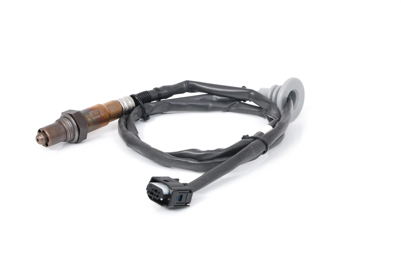 Oxygen Sensor