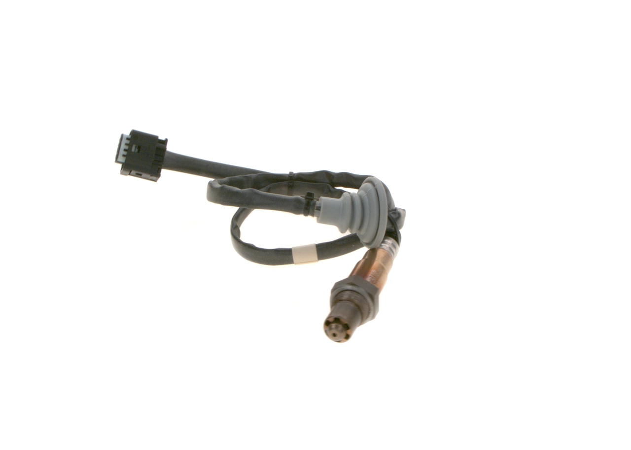 Oxygen Sensor