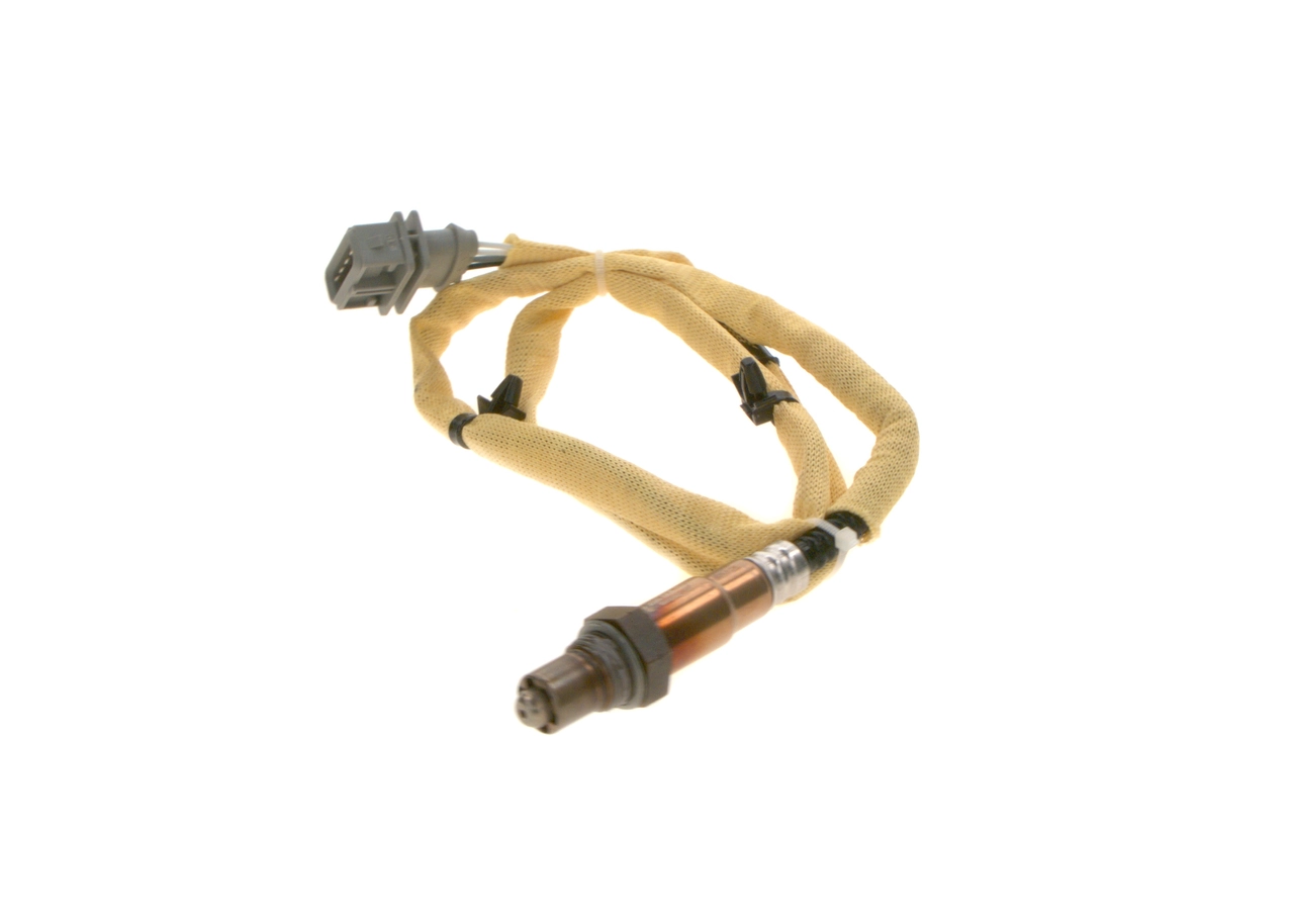 Oxygen Sensor