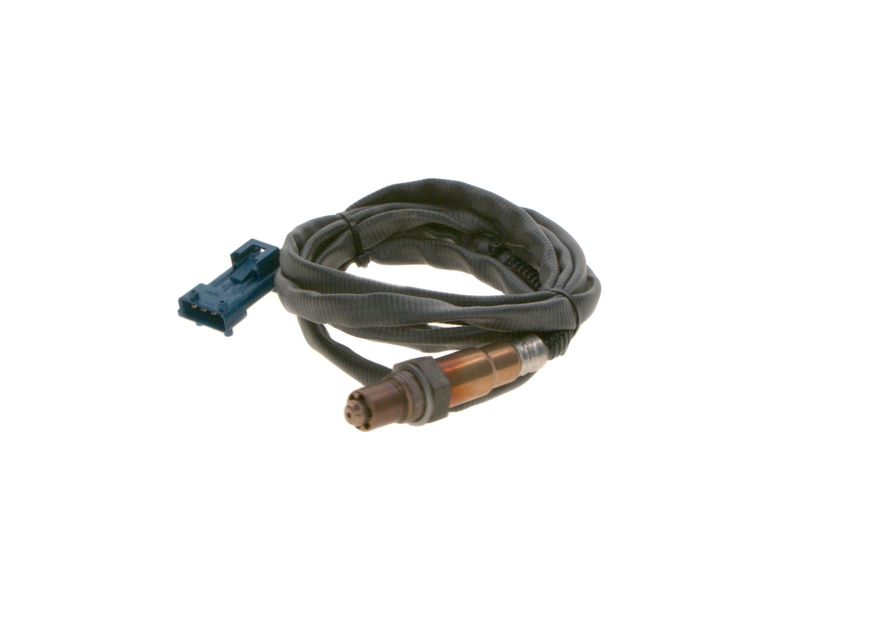 Oxygen Sensor