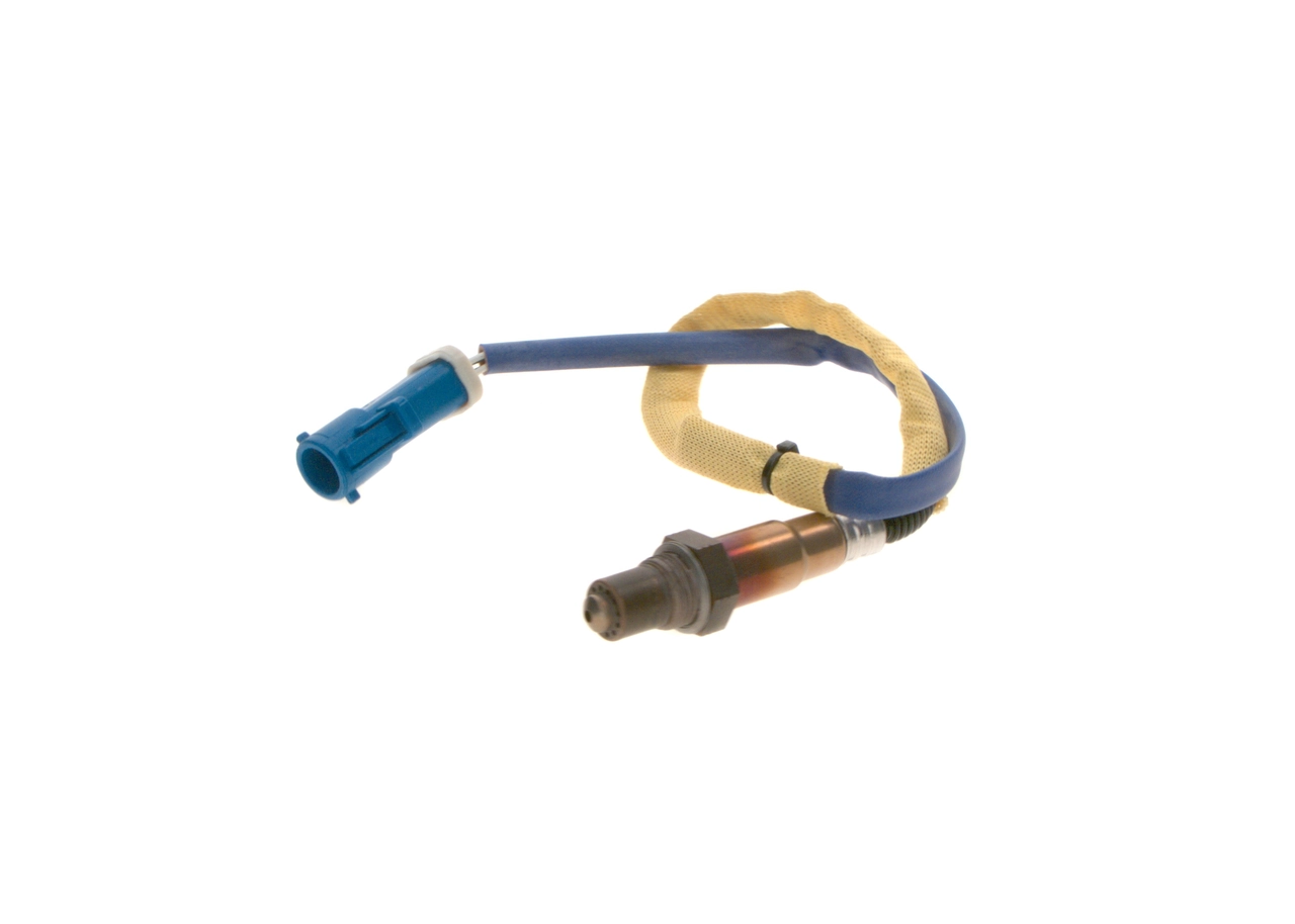 Oxygen Sensor