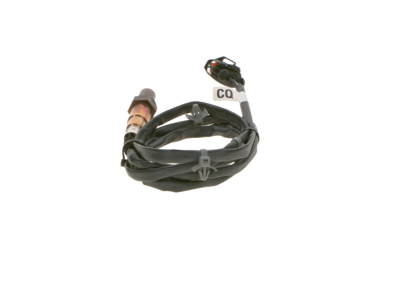 Oxygen Sensor