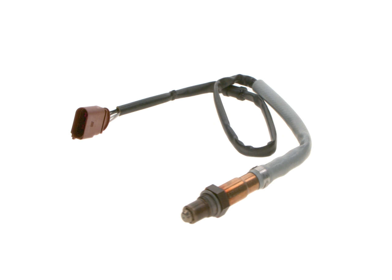 Oxygen Sensor