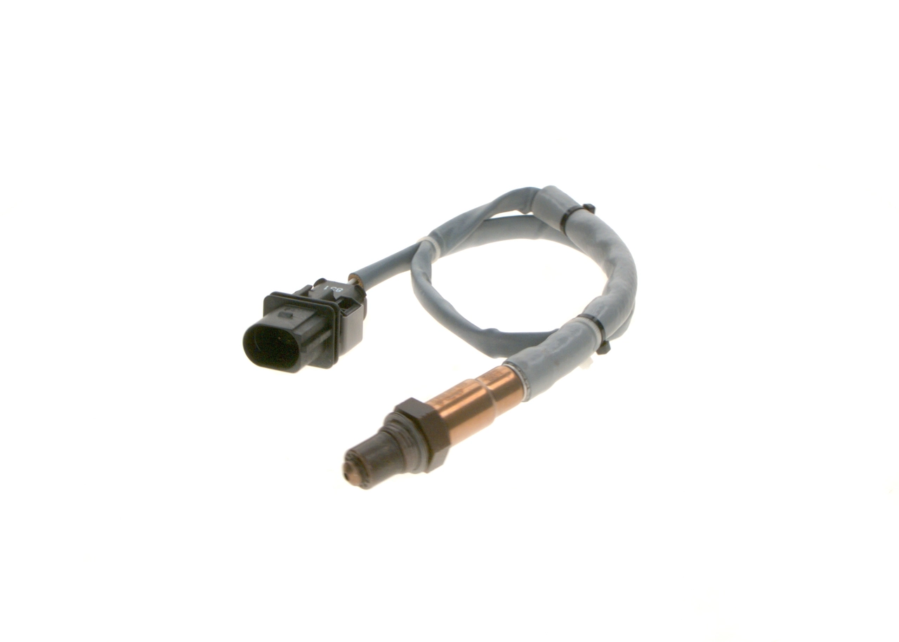 Oxygen Sensor