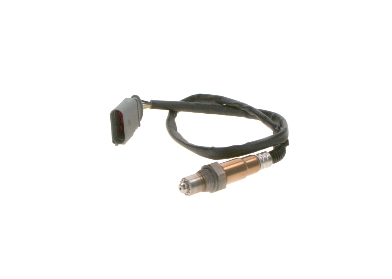 Oxygen Sensor
