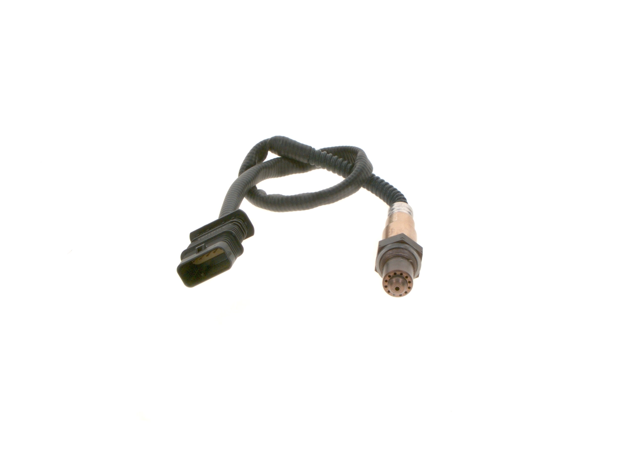 Oxygen Sensor
