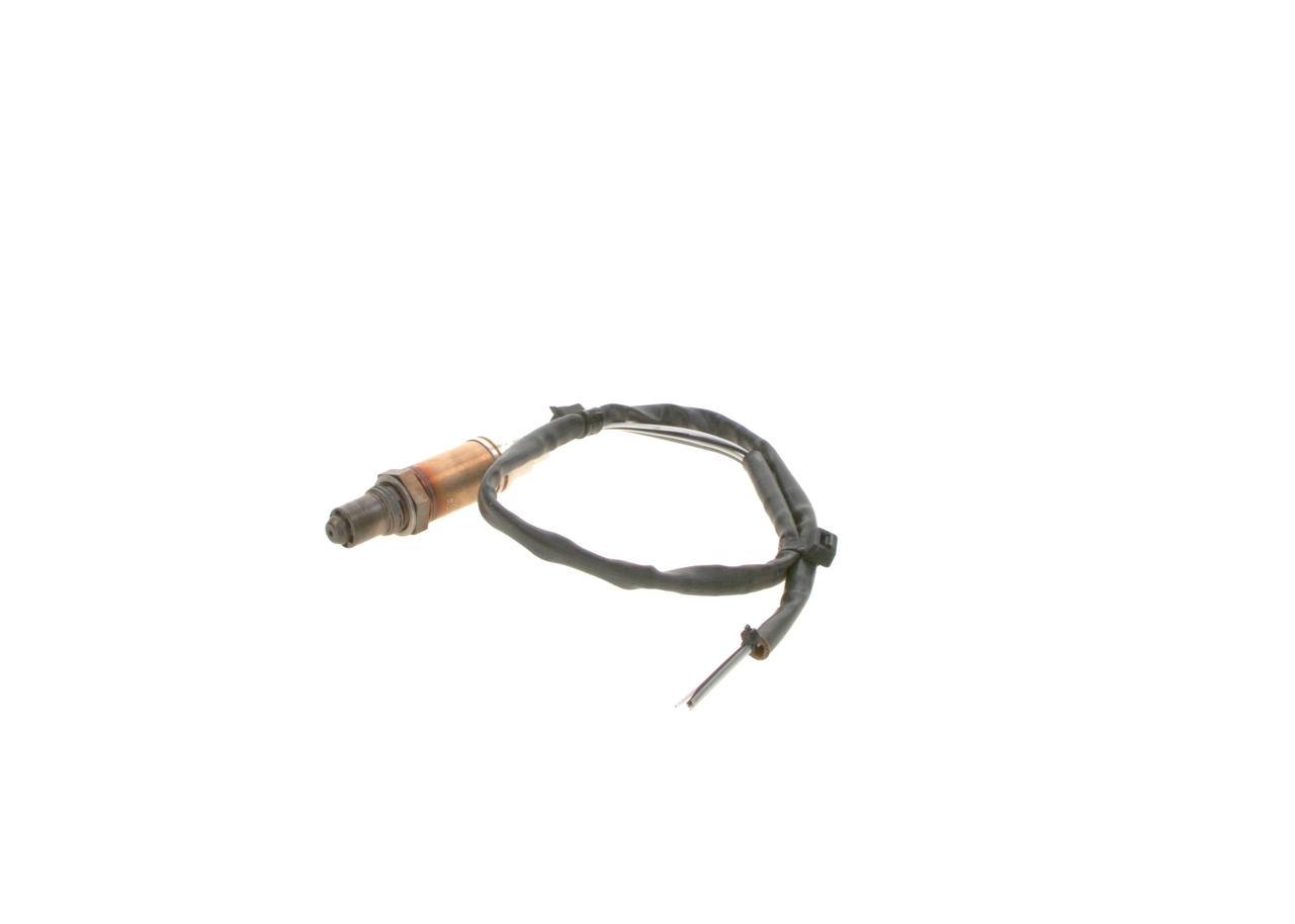 Oxygen Sensor