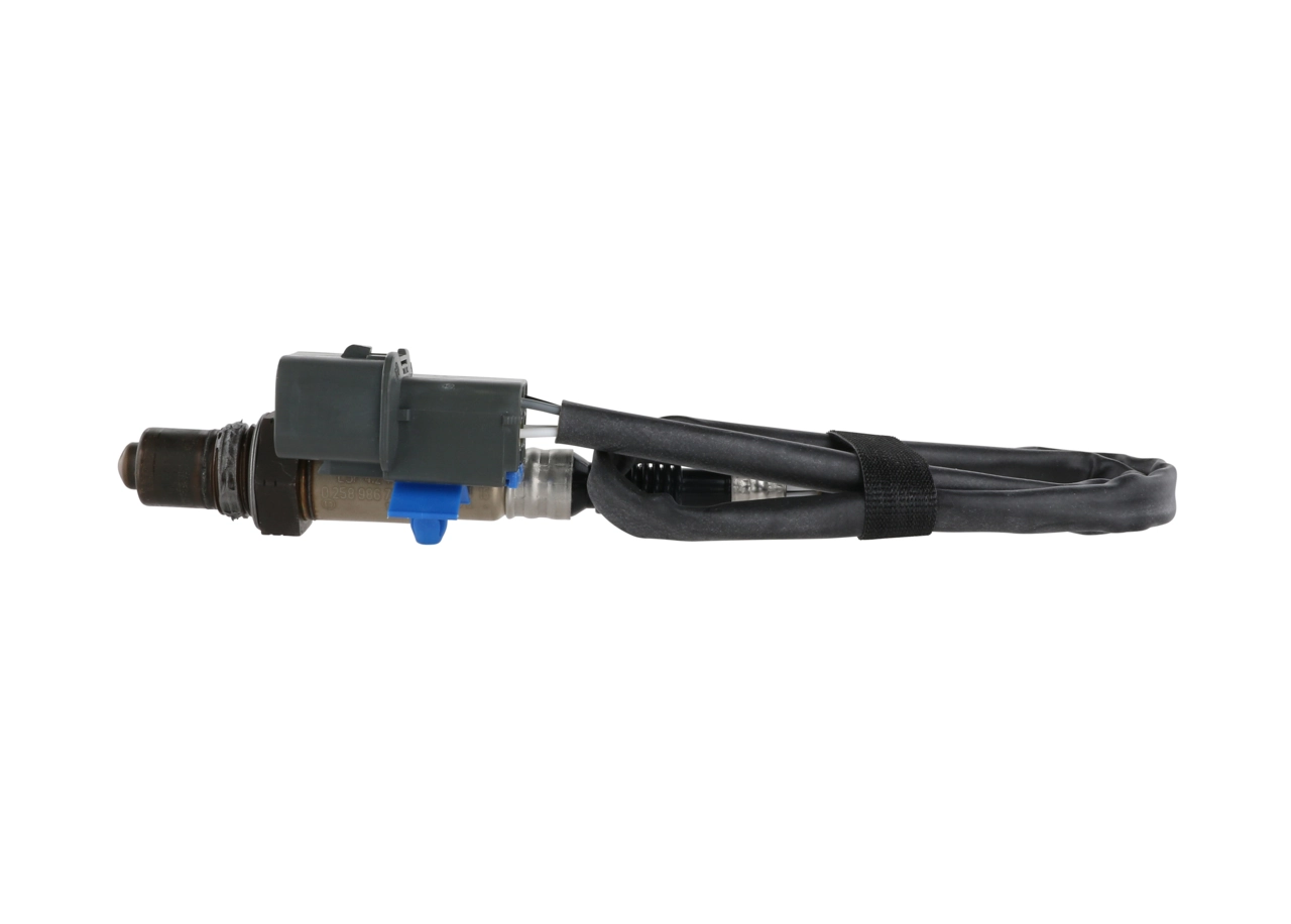 Oxygen Sensor