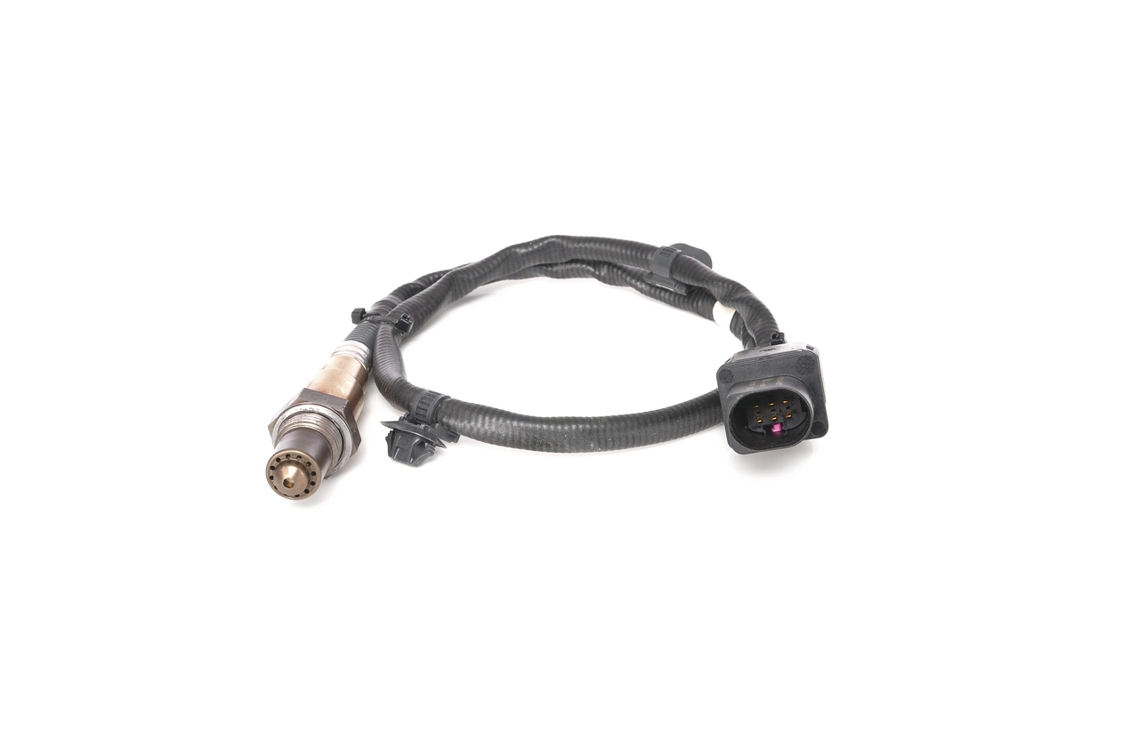 Oxygen Sensor