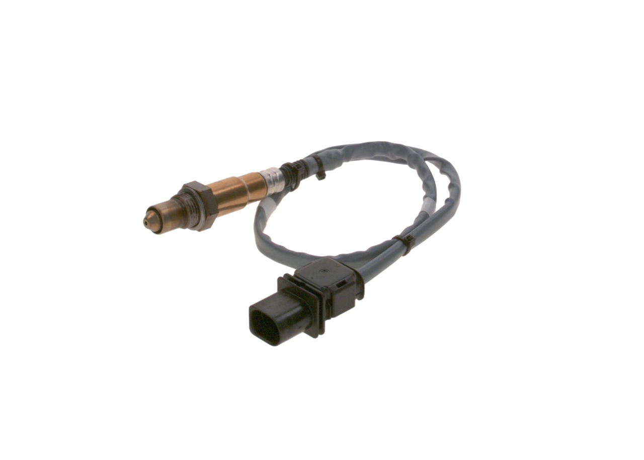 Oxygen Sensor