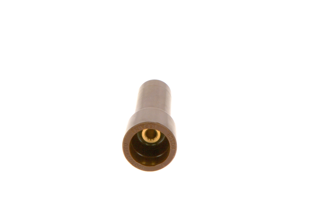 Plug, spark plug