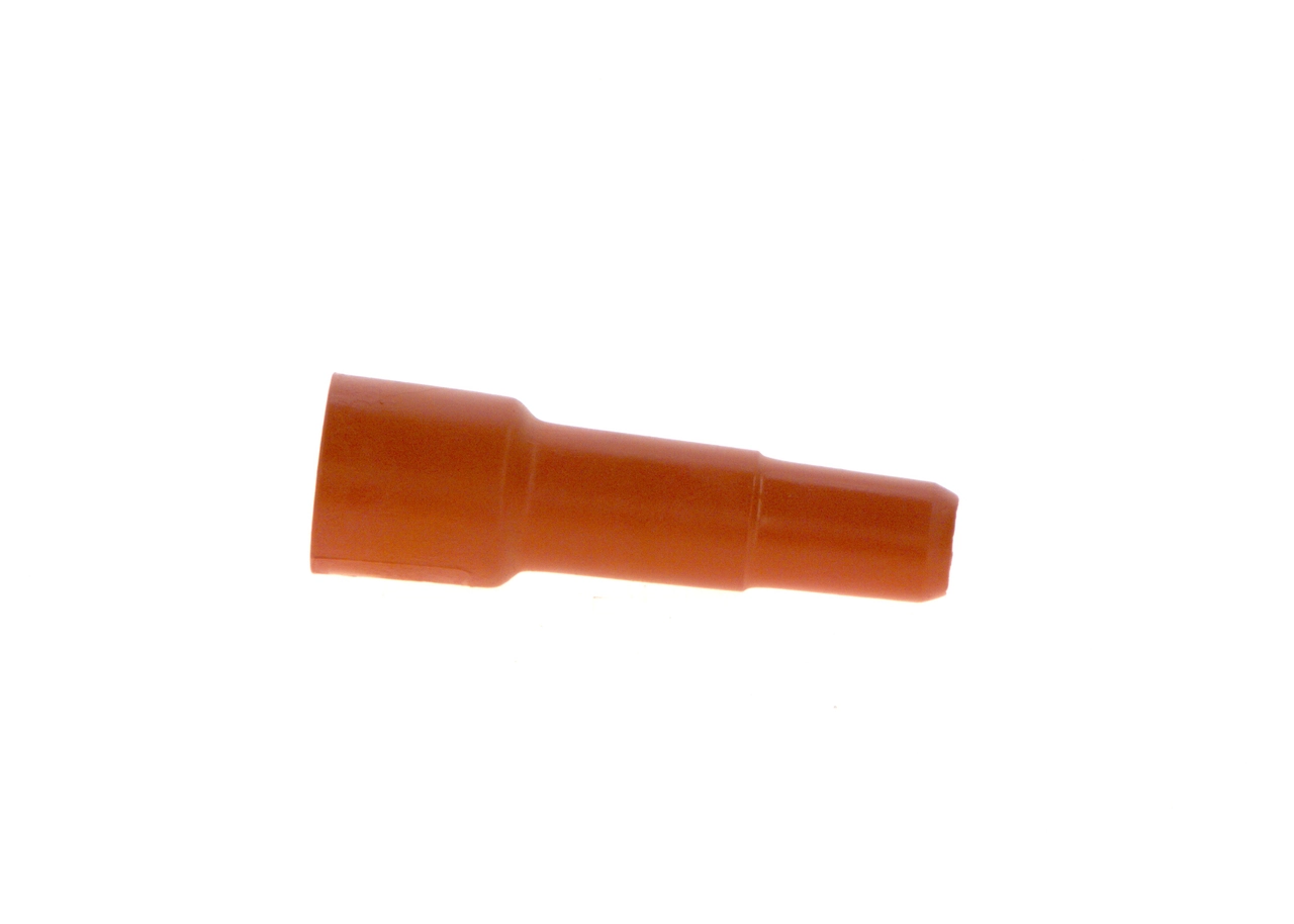 Plug, spark plug