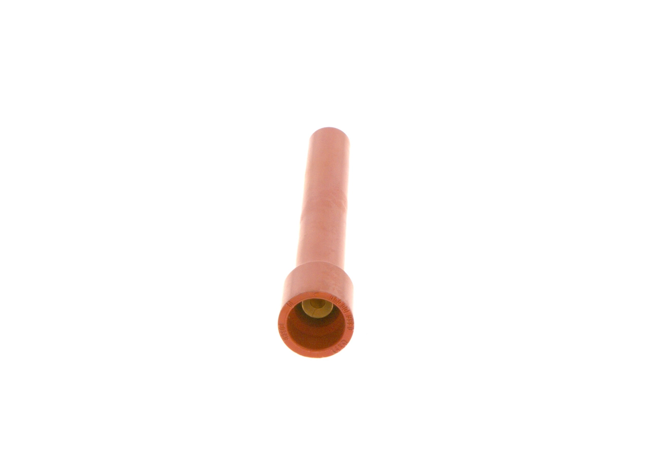 Plug, spark plug