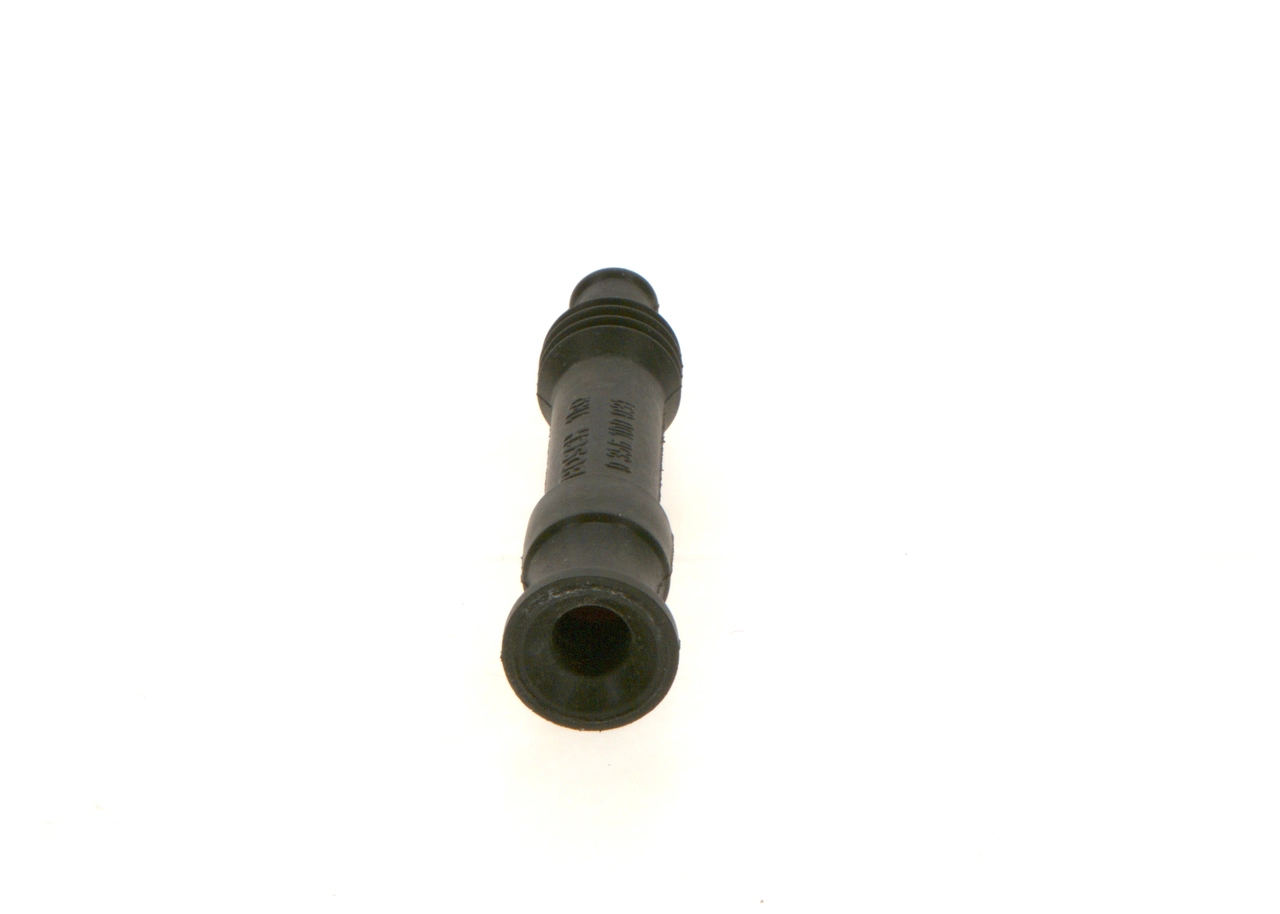 Plug, spark plug