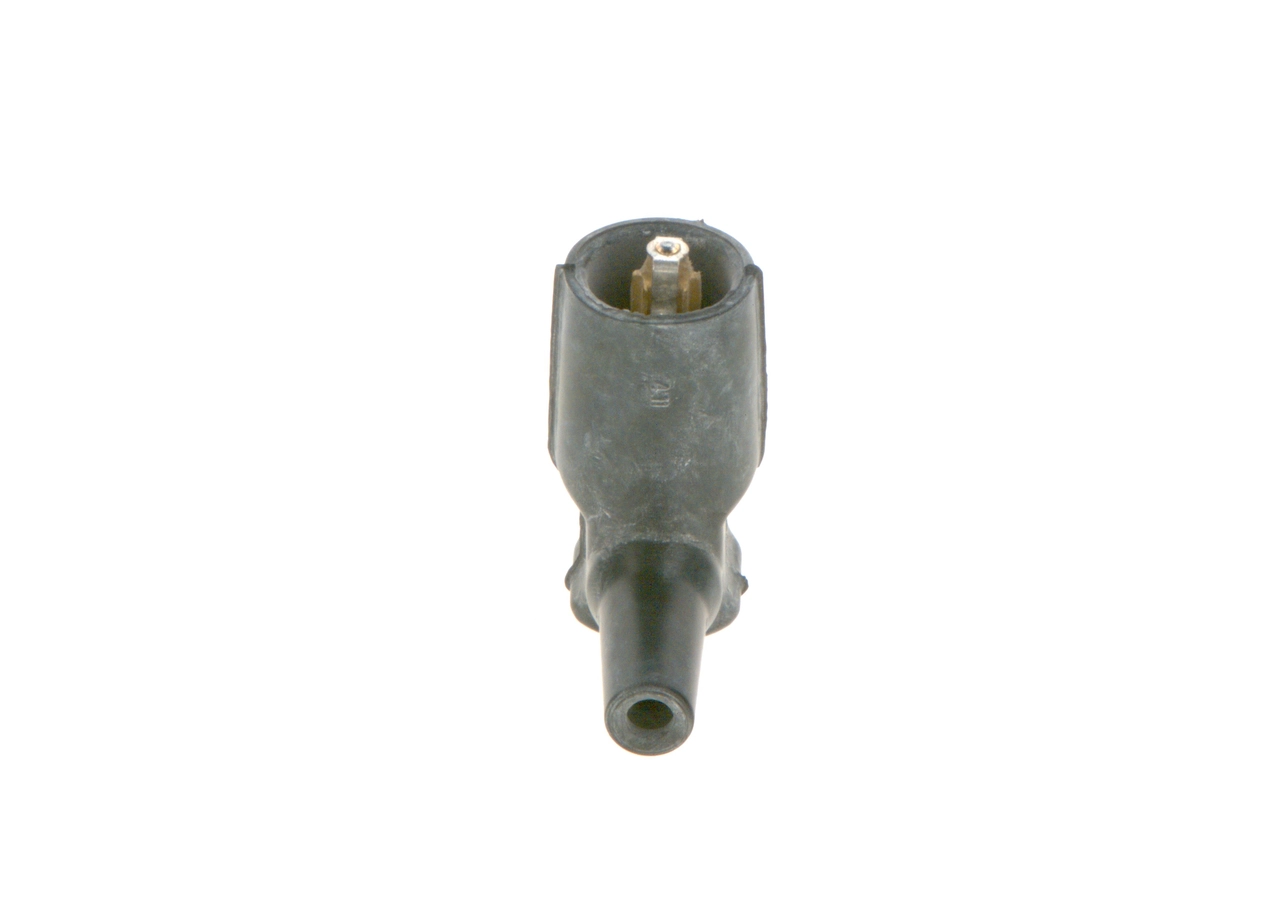 Plug, coil