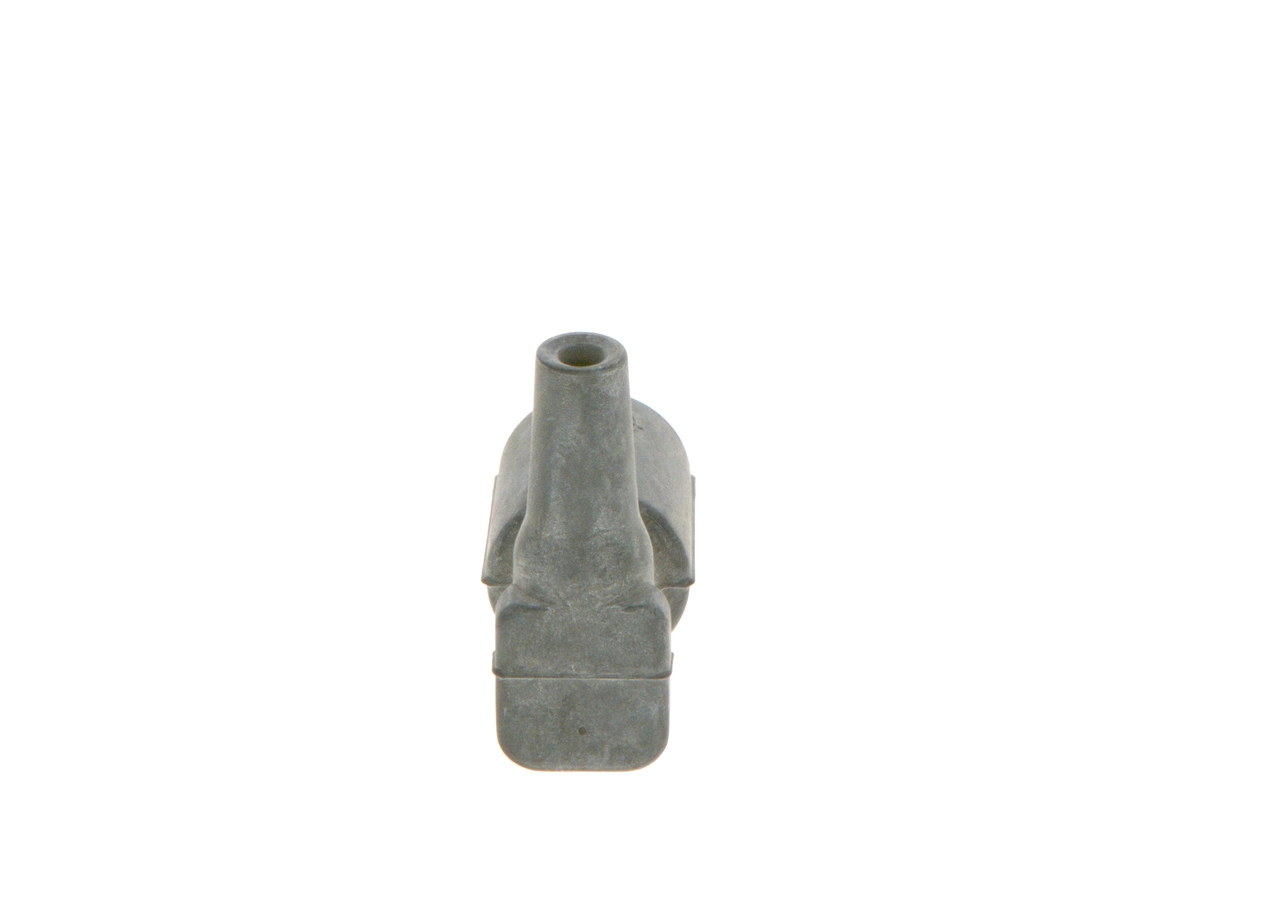 Plug, coil