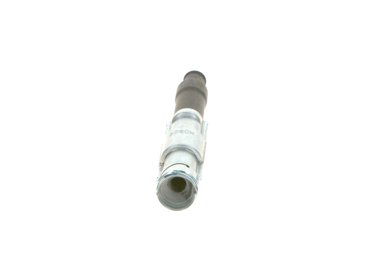 Plug, spark plug