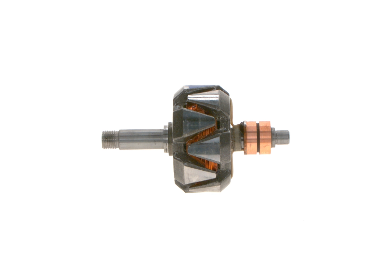 Rotor, alternator