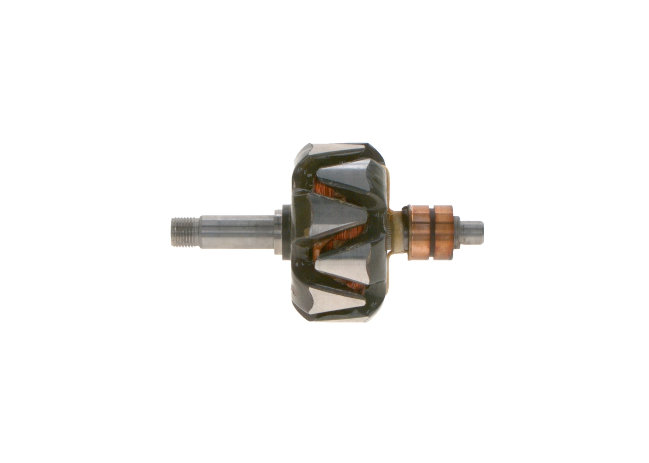 Rotor, alternator