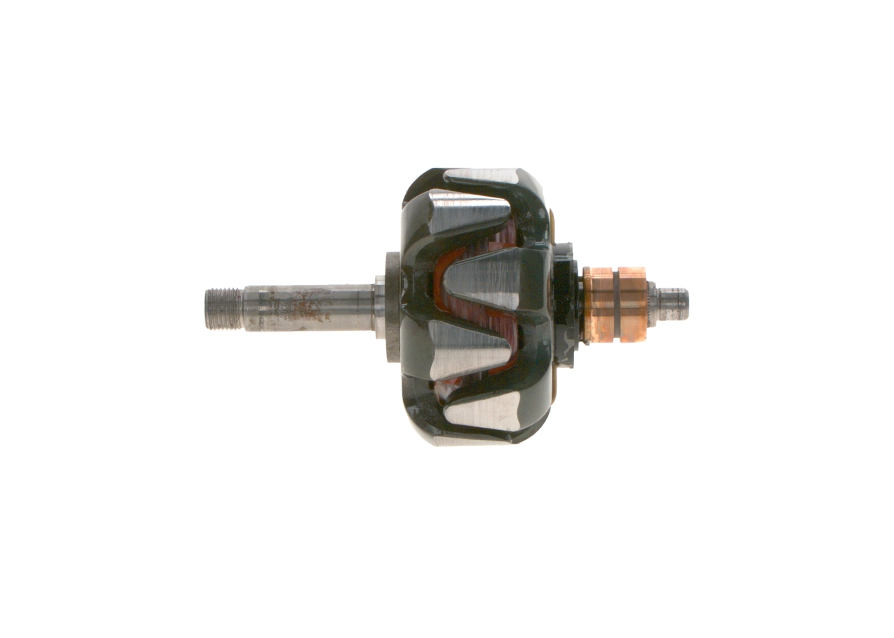 Rotor, alternator