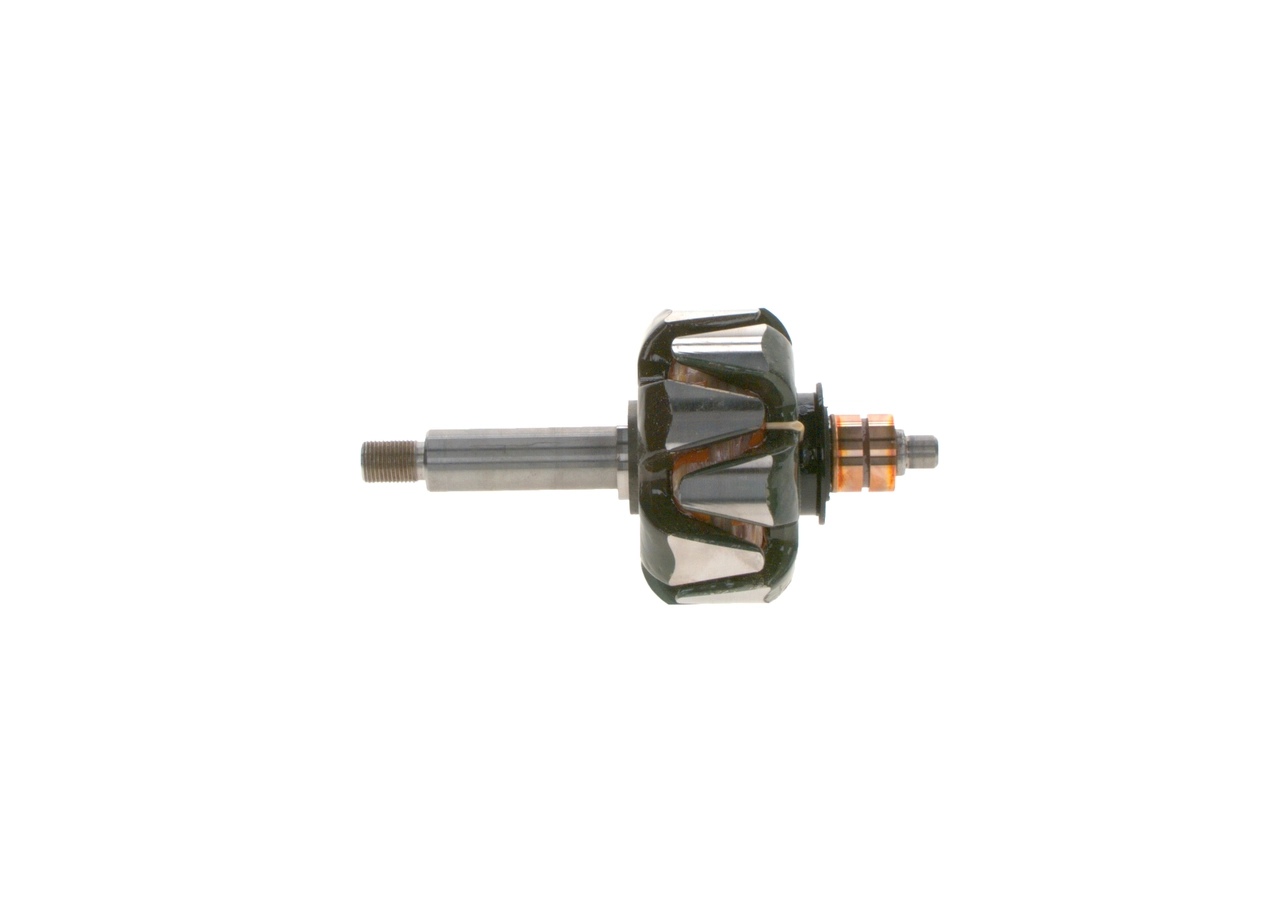 Rotor, alternator