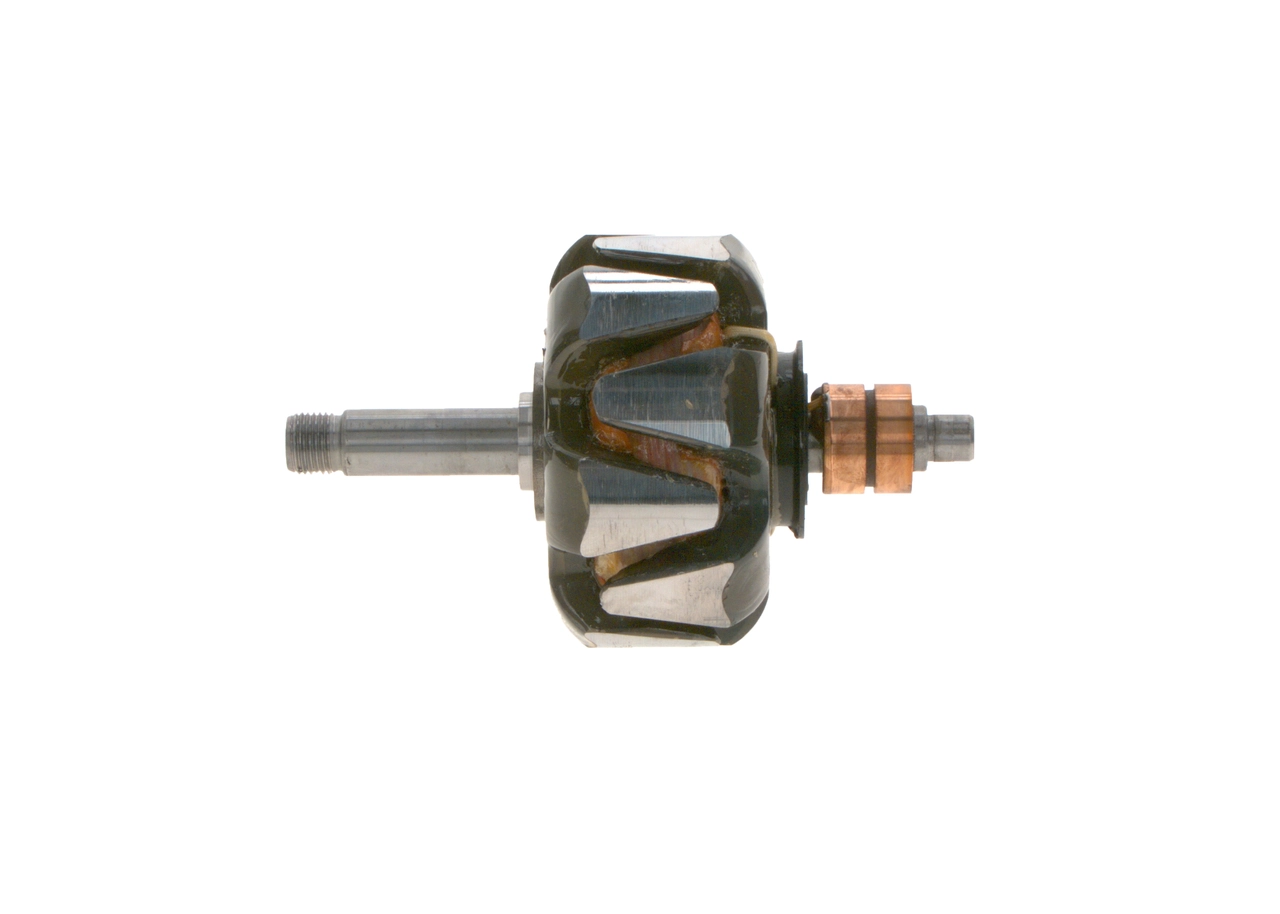 Rotor, alternator