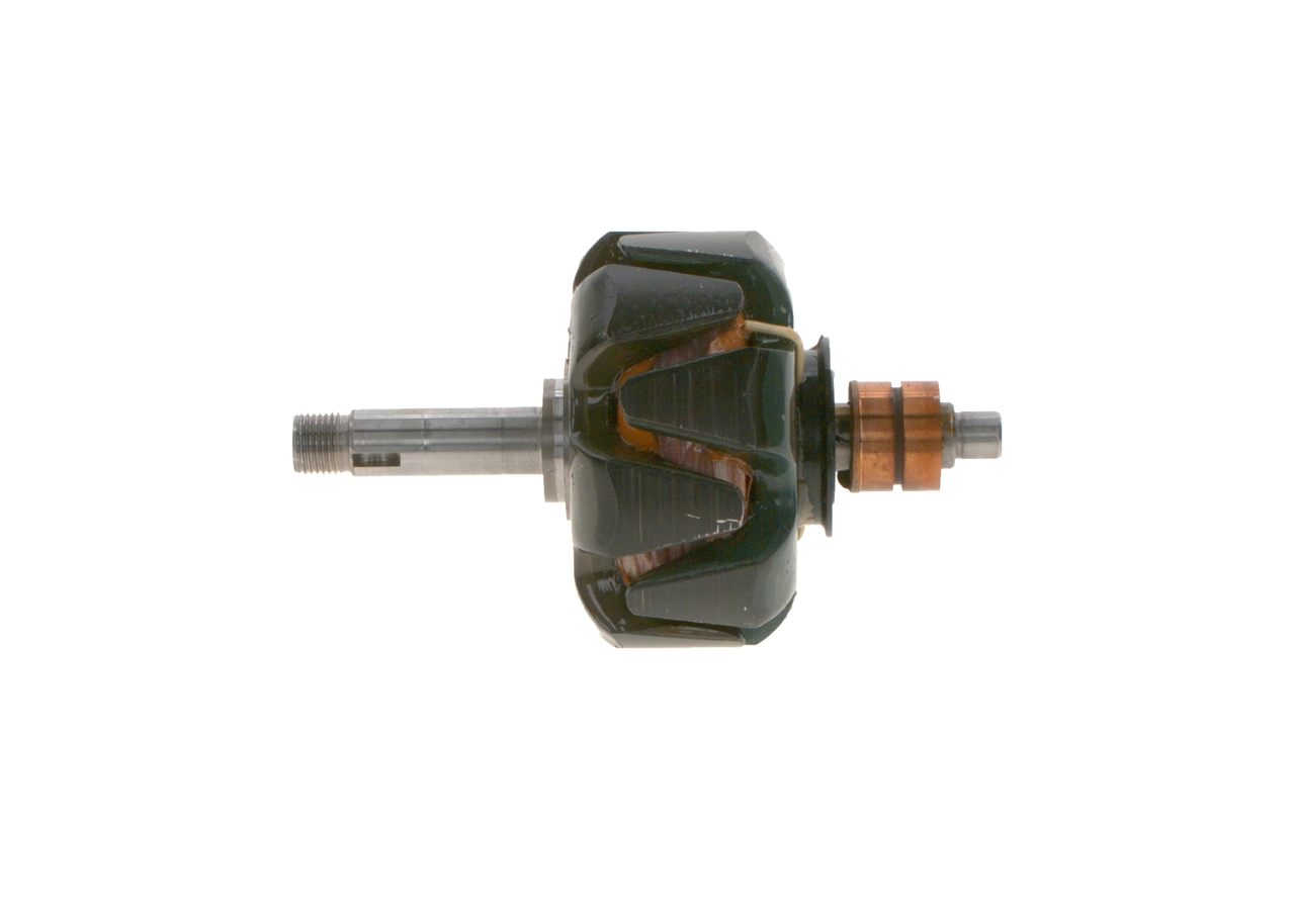 Rotor, alternator