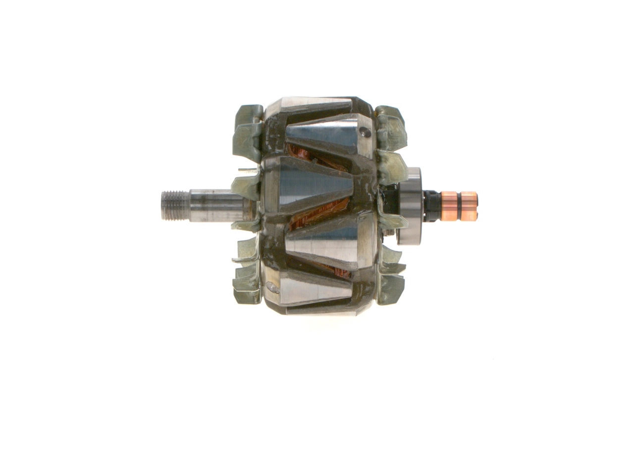 Rotor, alternator