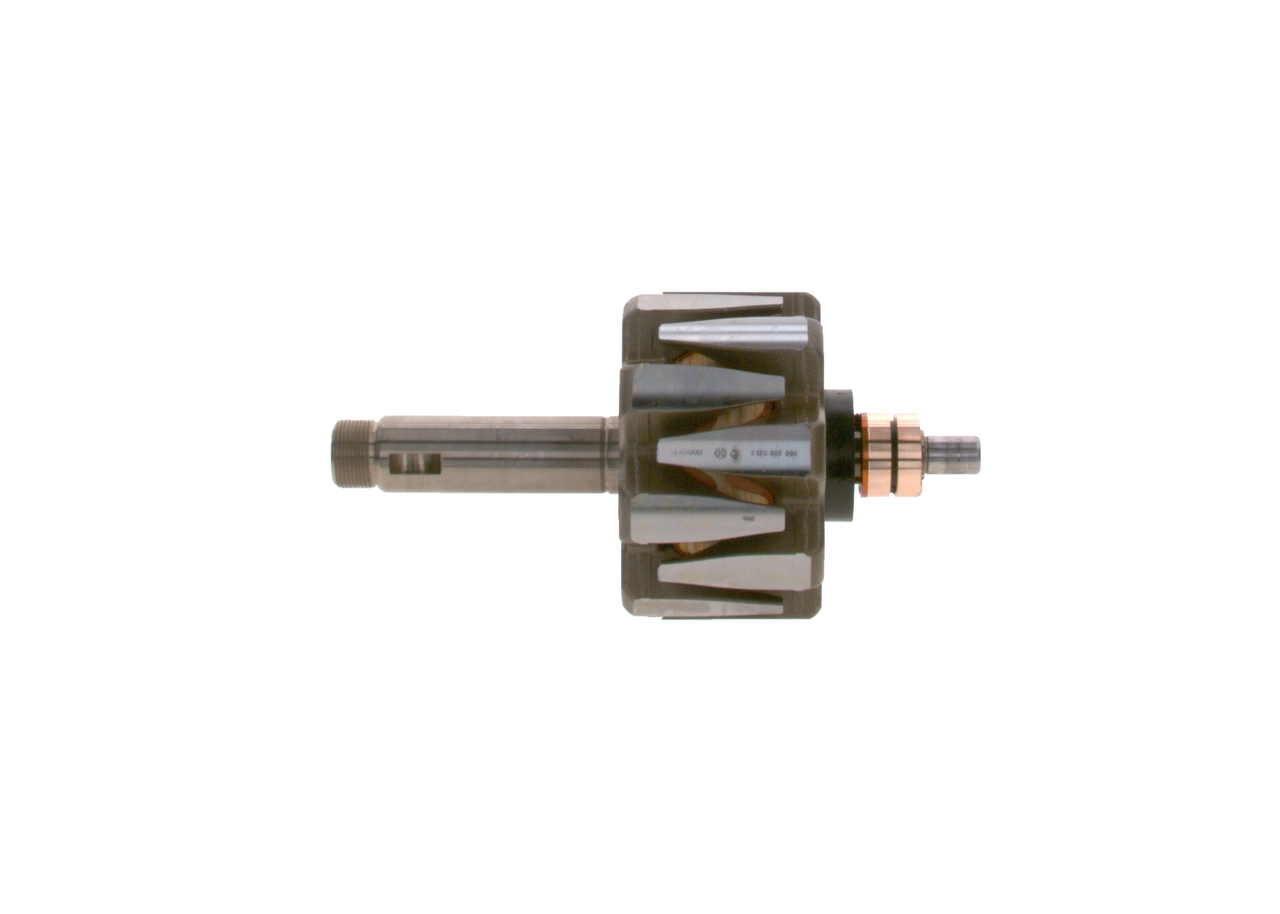 Rotor, alternator