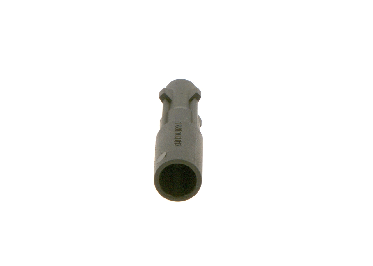 Plug, spark plug