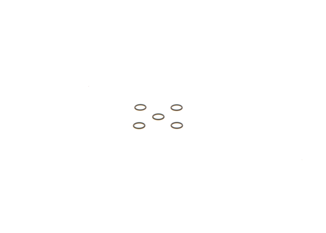 Seal Ring, injector