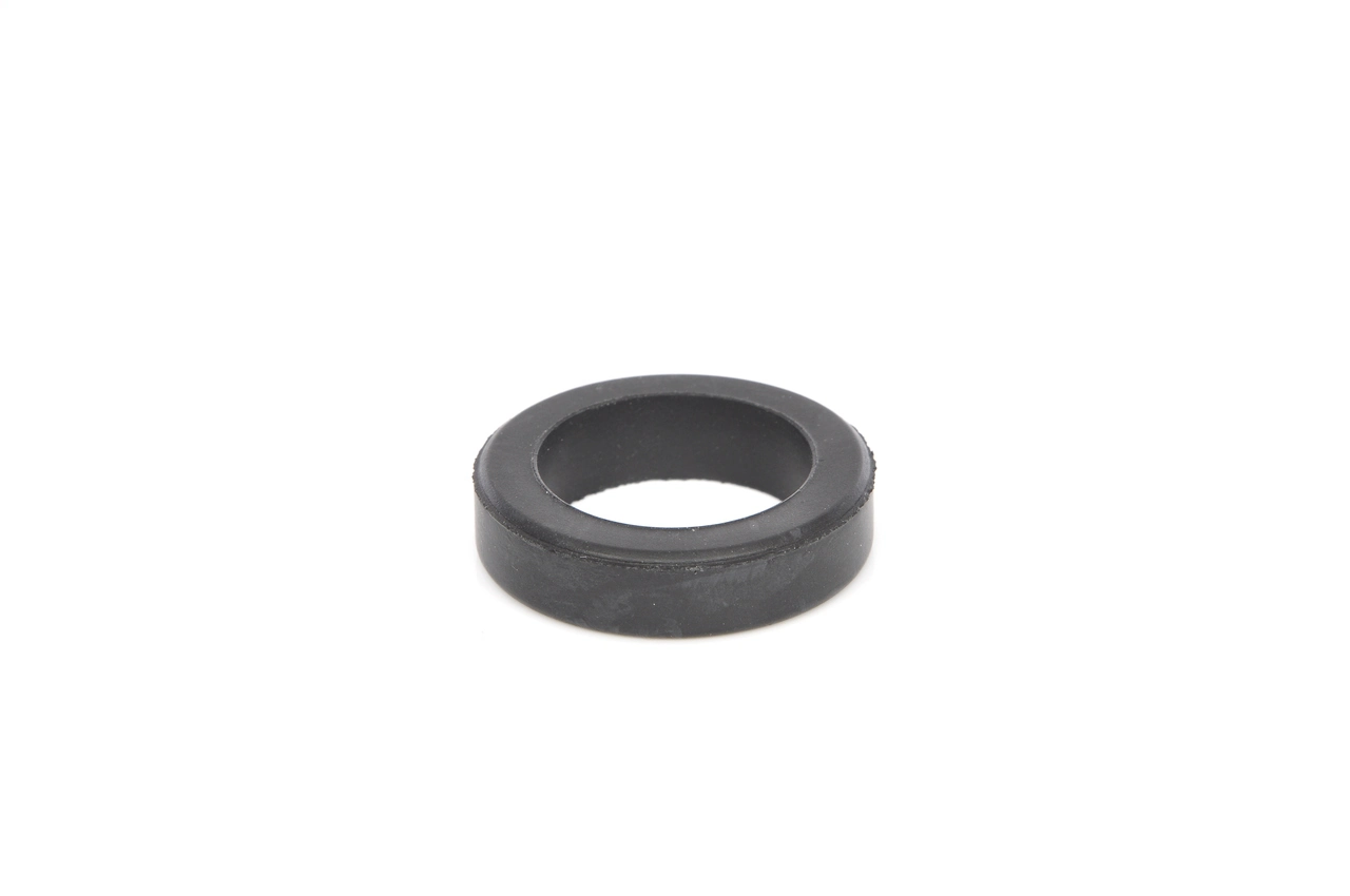 Seal Ring, injector
