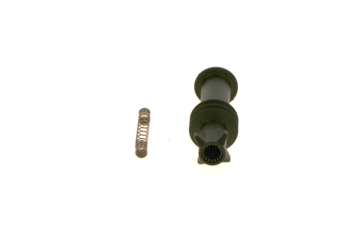 Plug, spark plug