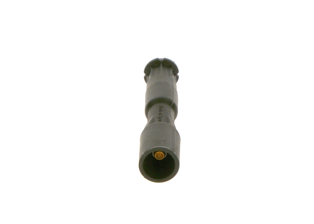 Plug, spark plug