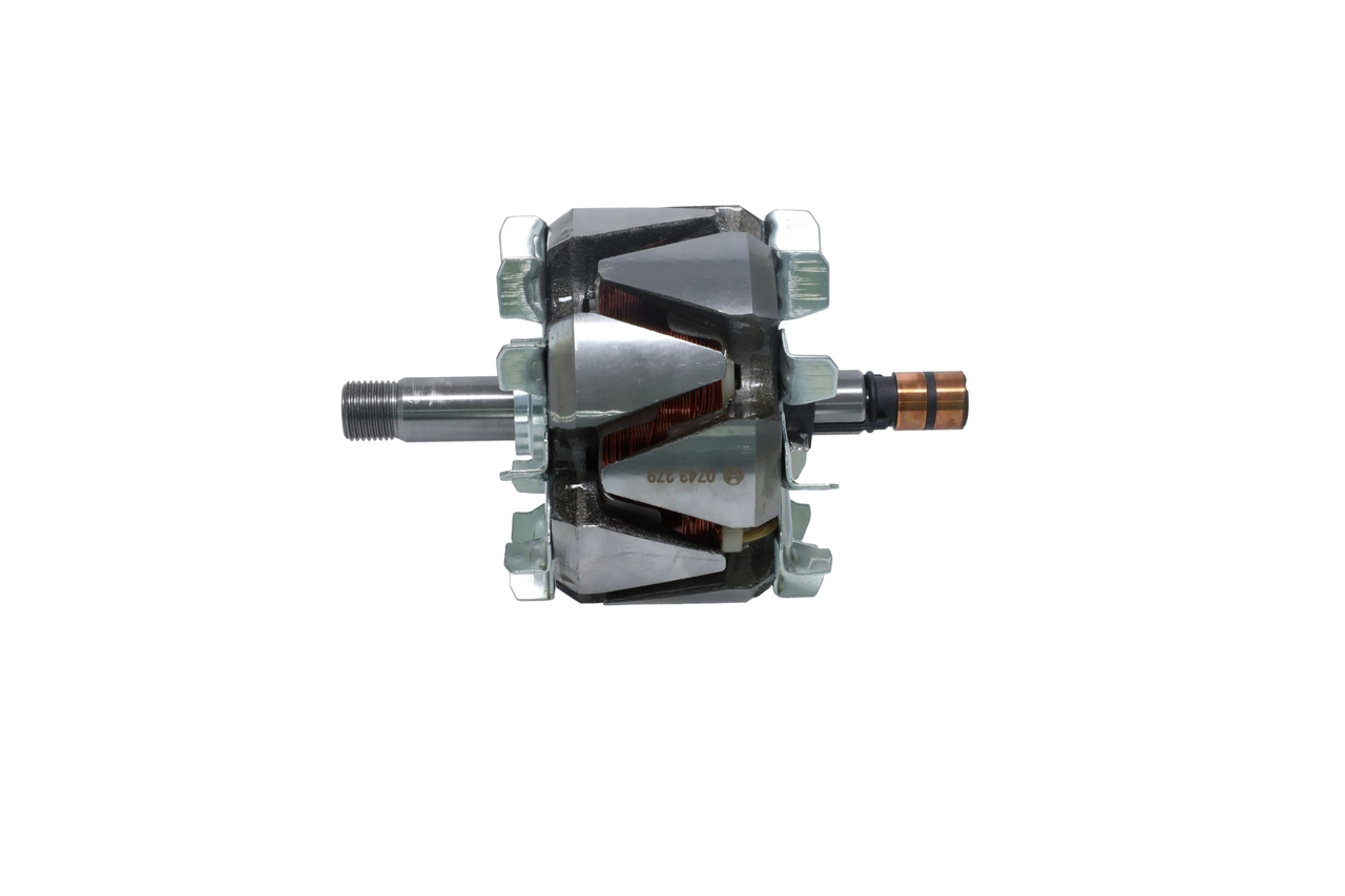 Rotor, alternator