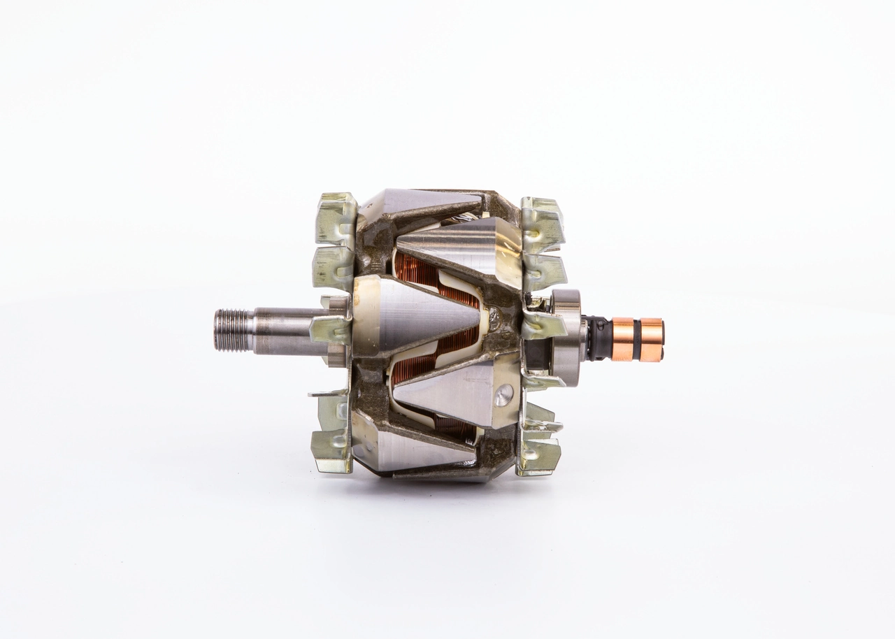 Rotor, alternator