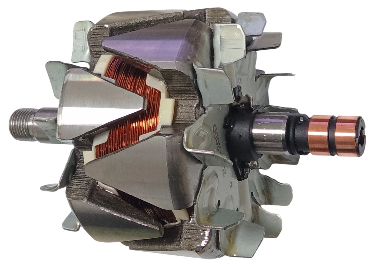Rotor, alternator