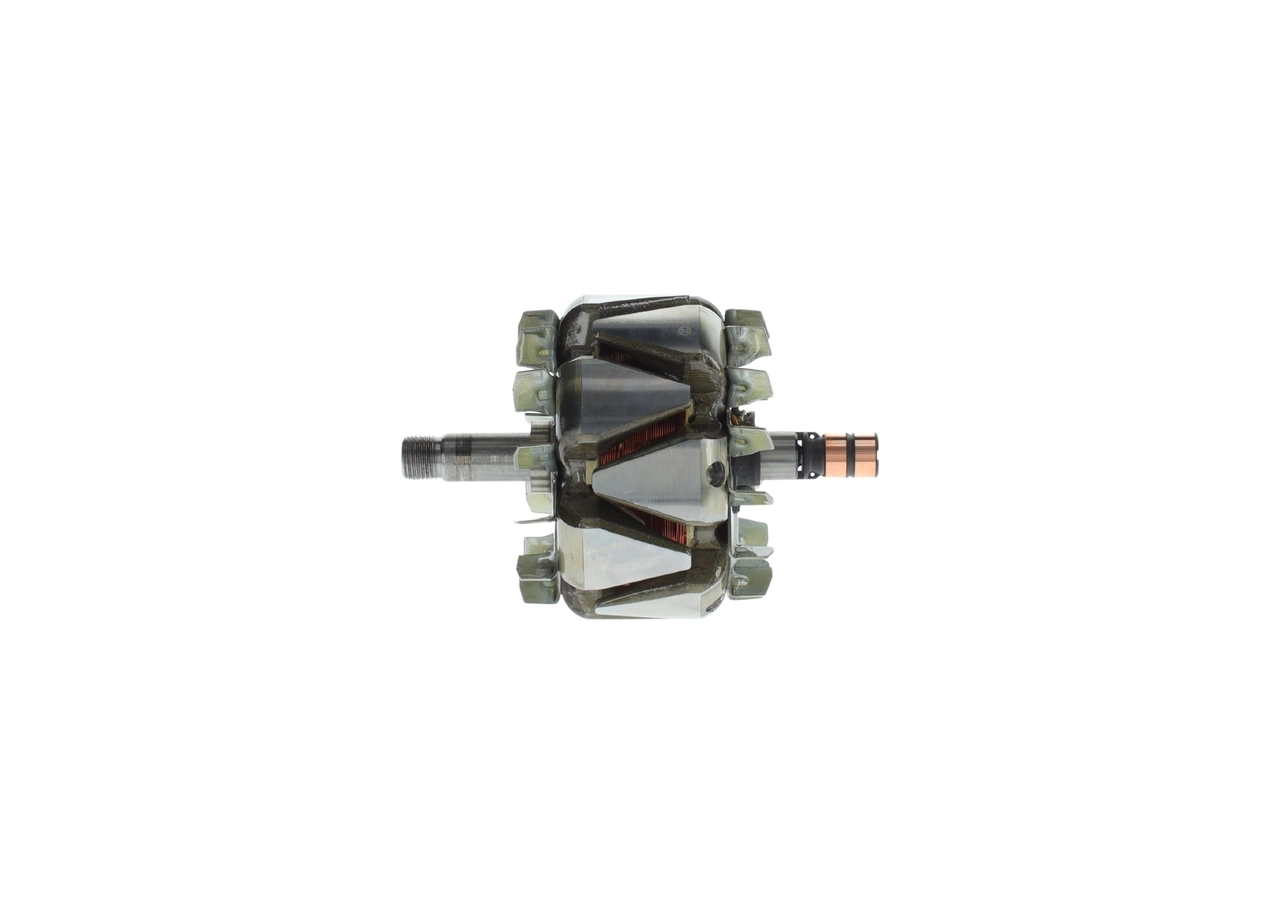 Rotor, alternator