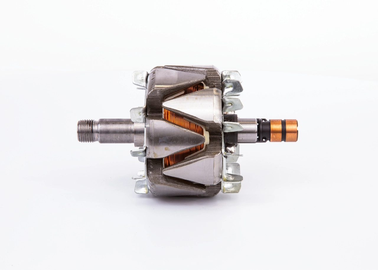 Rotor, alternator