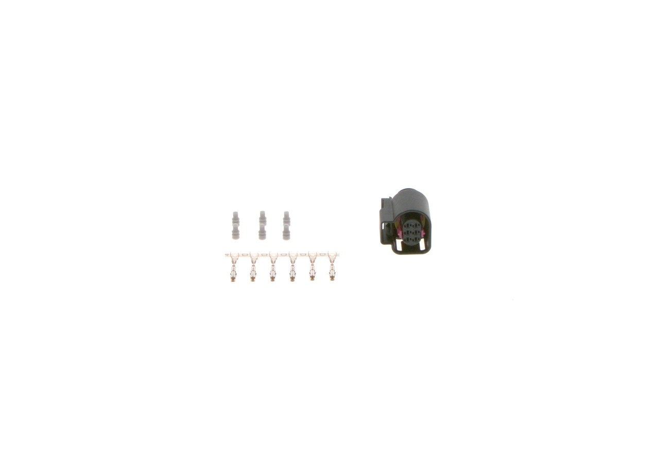 Plug, injector