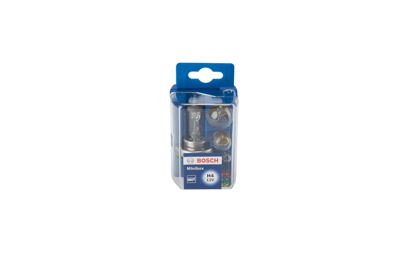 Bulbs Assortment