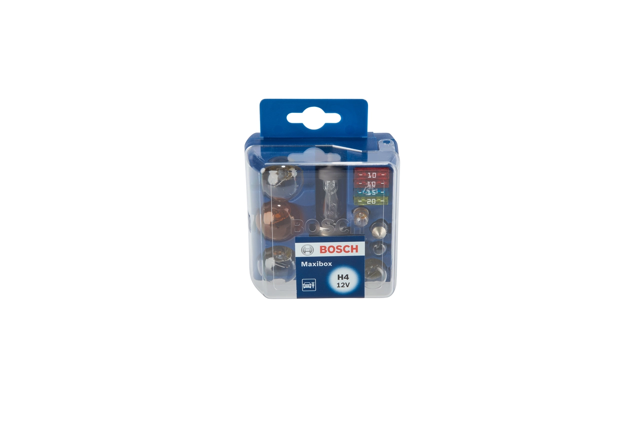 Bulbs Assortment