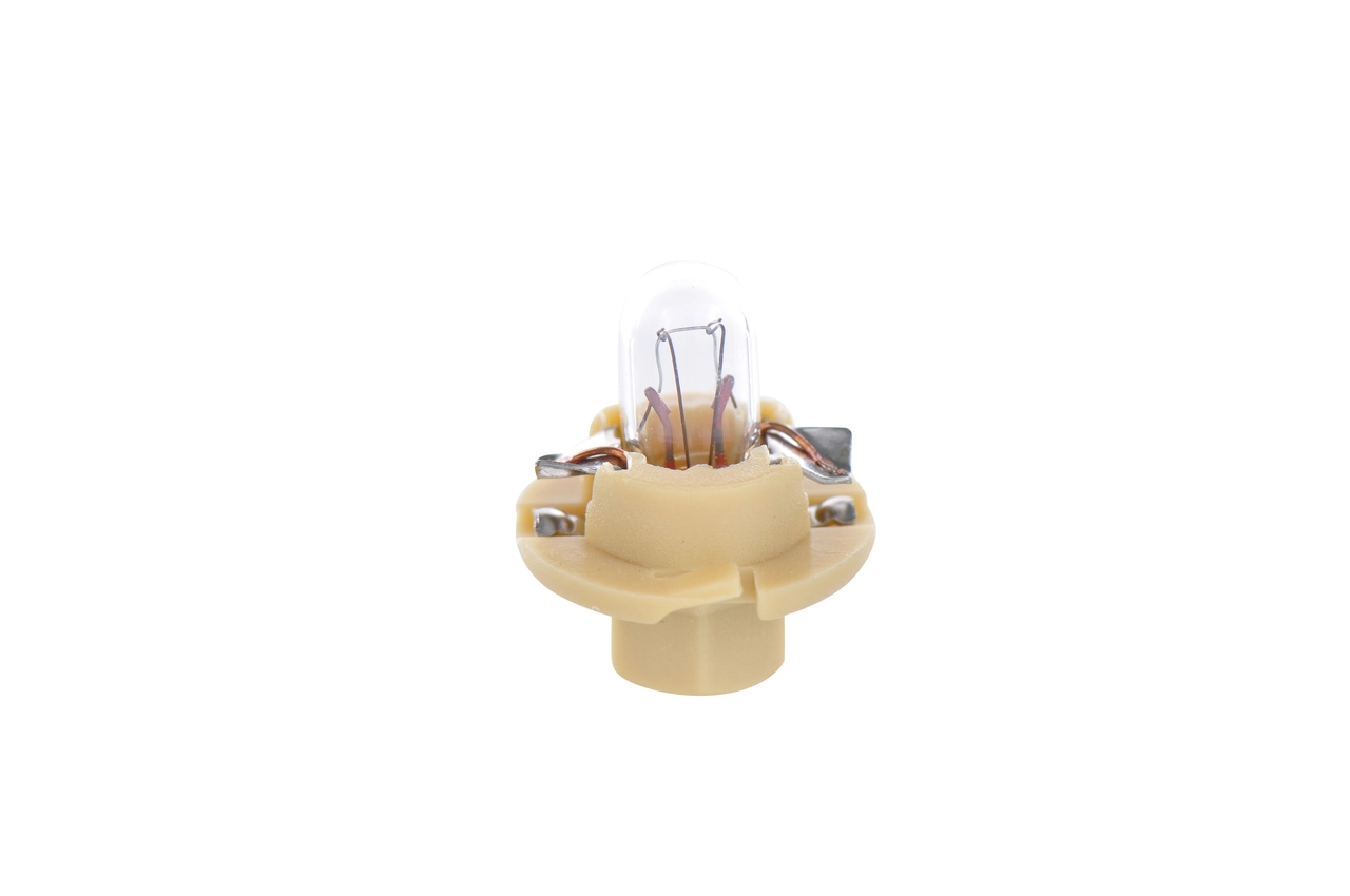 Bulb
