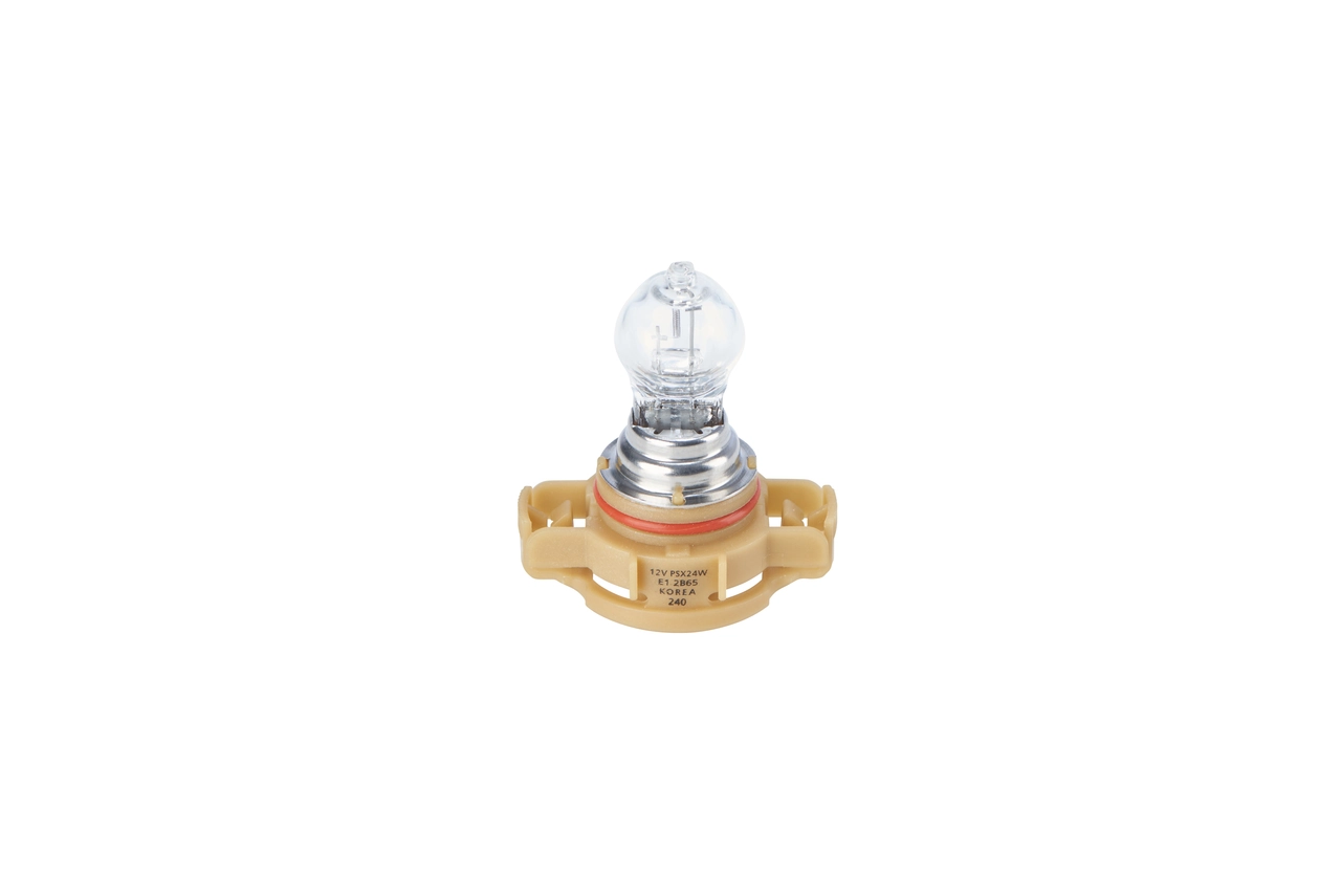 Bulb, front fog light